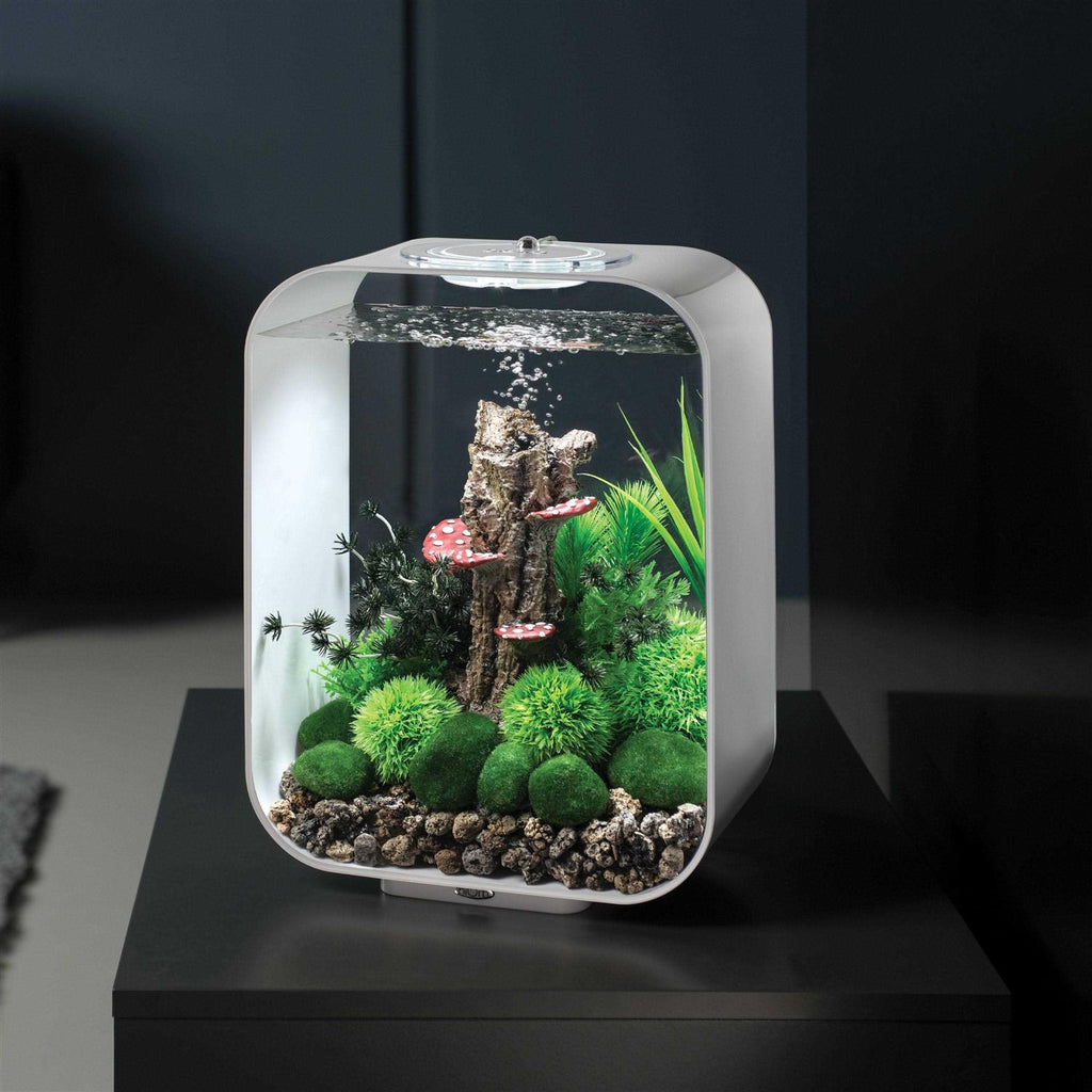 Aquarium with MCR Light k7p