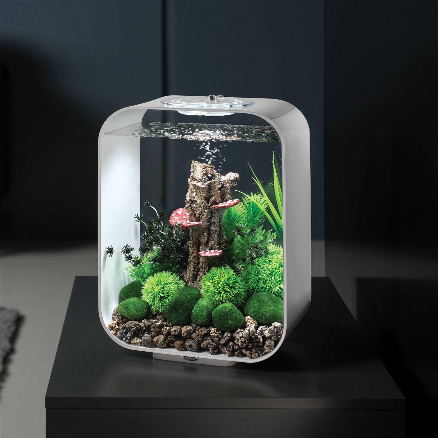 Aquarium with MCR Light k7p