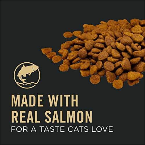 Senior Cat Food Salmon and Rice Dry Formula 5 lb Bag k7