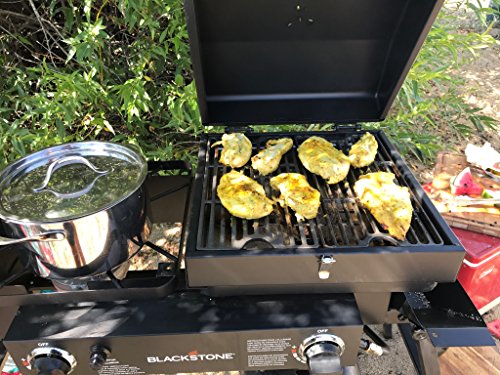 Stainless Steel 2 Burner Portable Gas Grill and Griddle Combo 35000 BTU k7m
