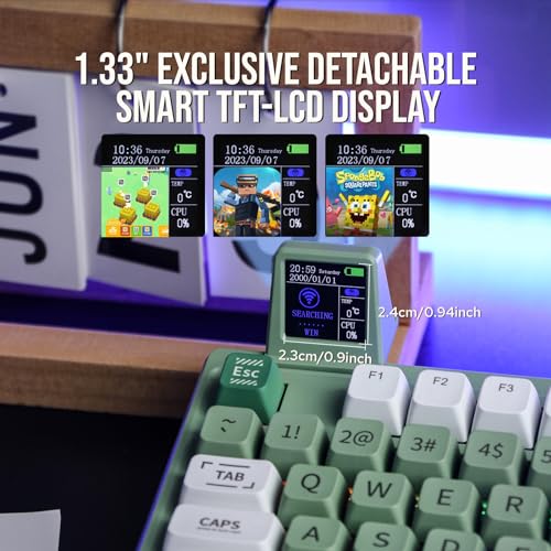 EPOMAKER RT100 97 Keys Gasket BT5.0/2.4G/USB-C Mechanical Keyboard with Customizable Display Screen, Knob, Hot Swappable Socket, 5000mAh Battery for Win/Mac(RT100 Green, Wisteria Linear Switch)