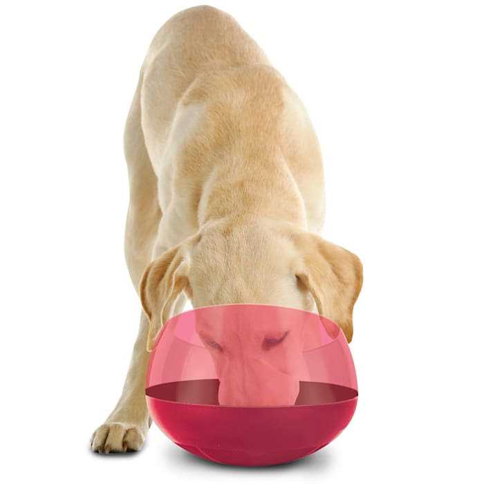 Slow Feeder Dog Bowl Interactive Rocking k7p