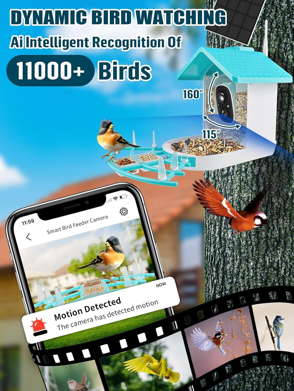 Bird Feeder with Camera Solar Powered 1080P HD Video AI Identify k7m