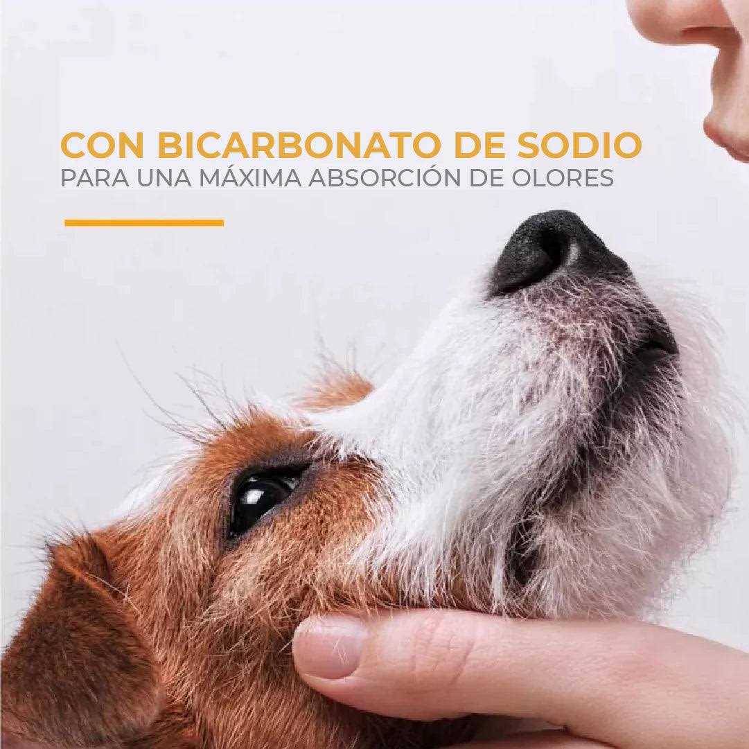 Deodorizing Pet Shampoo k7m