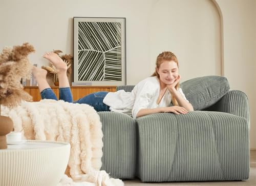 Modular Sectional Sleeper Sofa with Storage, Convertible L Shape Couch q7k