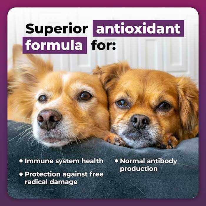 Dog Immune Support Supplement for Small Dogs a7