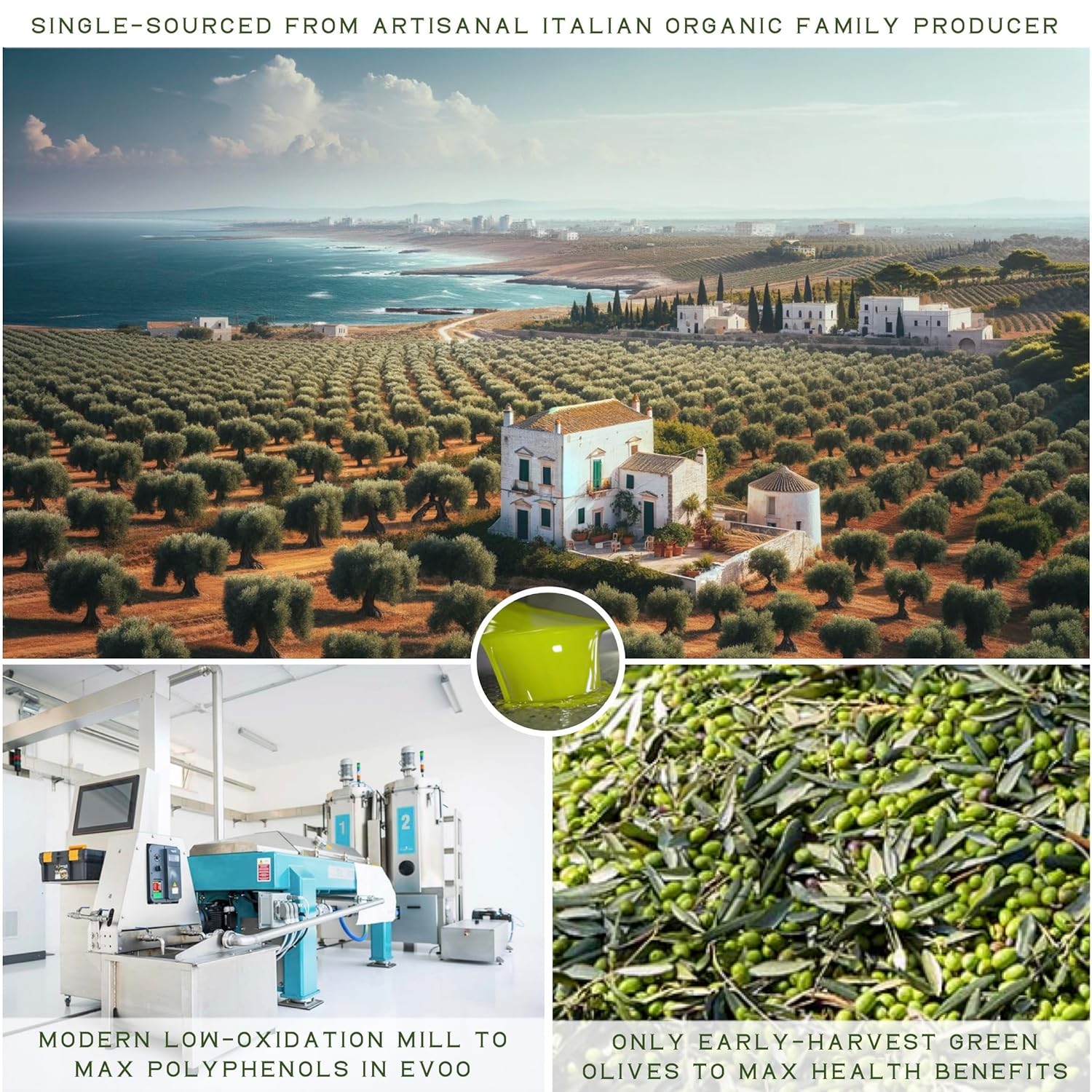 Organic Extra Virgin Olive Oil Early Harvest 16.9 fl oz k7