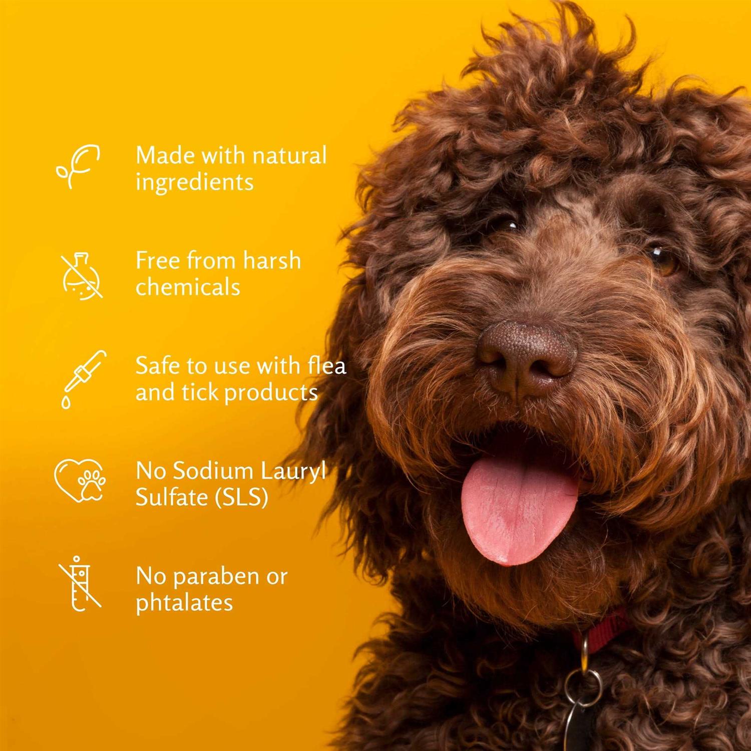 Deodorizing Pet Shampoo k7m
