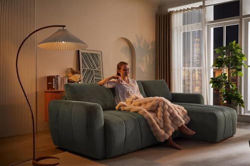 Modular Sectional Sleeper Sofa with Storage, Convertible L Shape Couch q7k