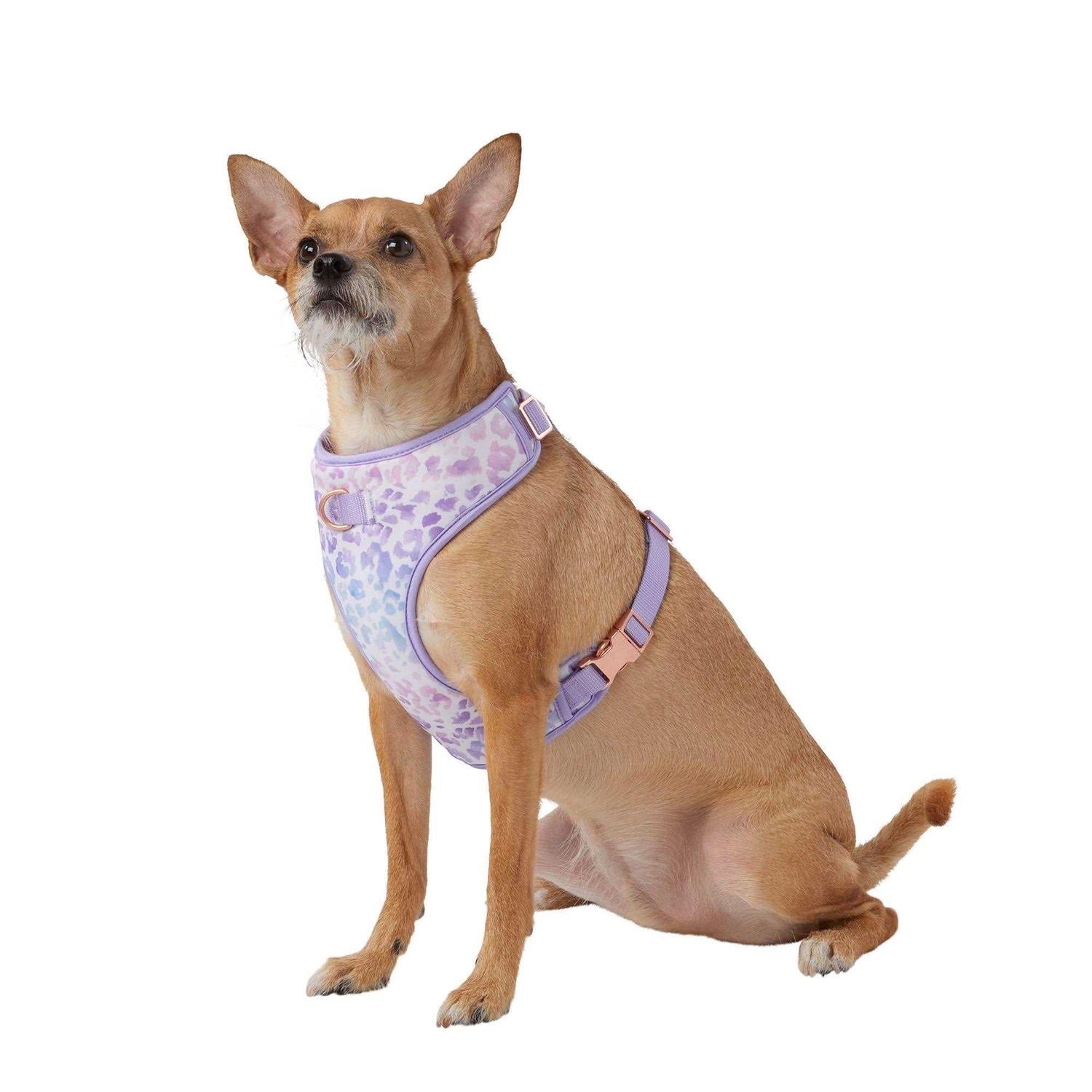 Top Paw Dog Harness - Pet Supplies online store
