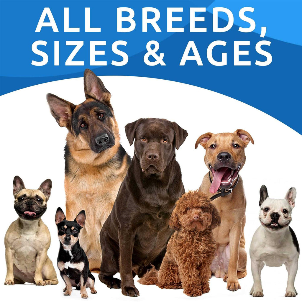Allergy Relief Immune Chews for Itchy Skin a7