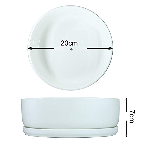 White Ceramic Succulent Planter with Saucer k7