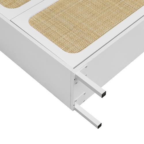 Natural Rattan Narrow Shoe Cabinet with 3 Flip Drawers a7k