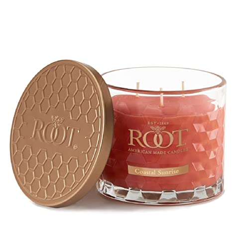 Scented Candles Honeycomb Traveler Premium Handcrafted Beeswax Blend Candle, 4-Ounce, Citron & Bergamot