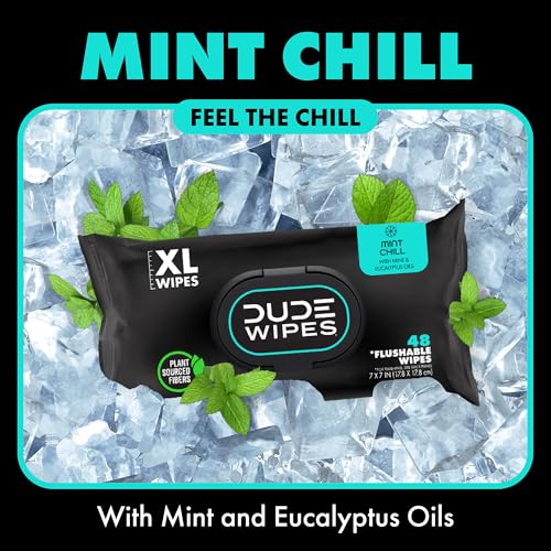Flushable Mint Chill Adult Wet Wipes, 48 Count, Septic Safe k7m