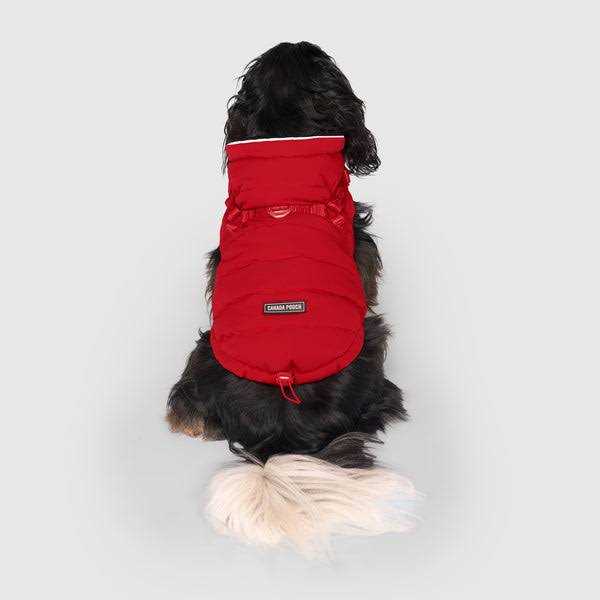 Dog Harness Puffer Black k7m
