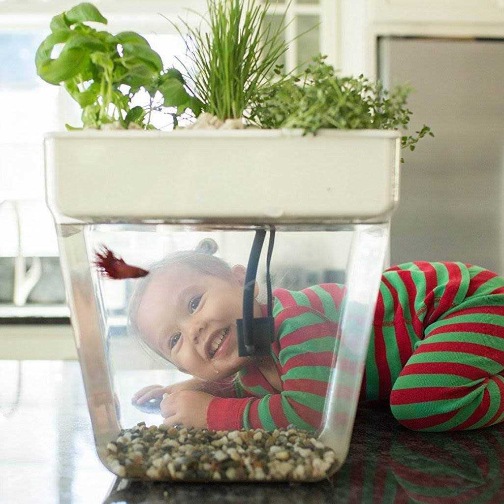Water Garden Kit 7a