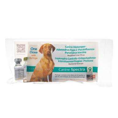 Dog Vaccine 10 in 1 k7