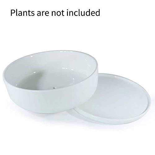 White Ceramic Succulent Planter with Saucer k7