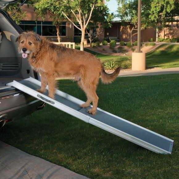 Pet Telescoping Ramp Grey a7