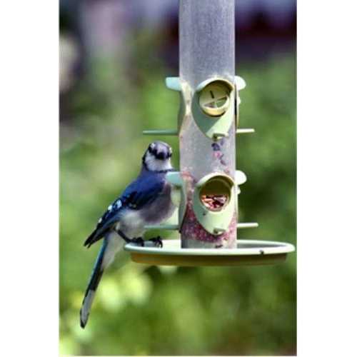 Wild Bird Food 7k