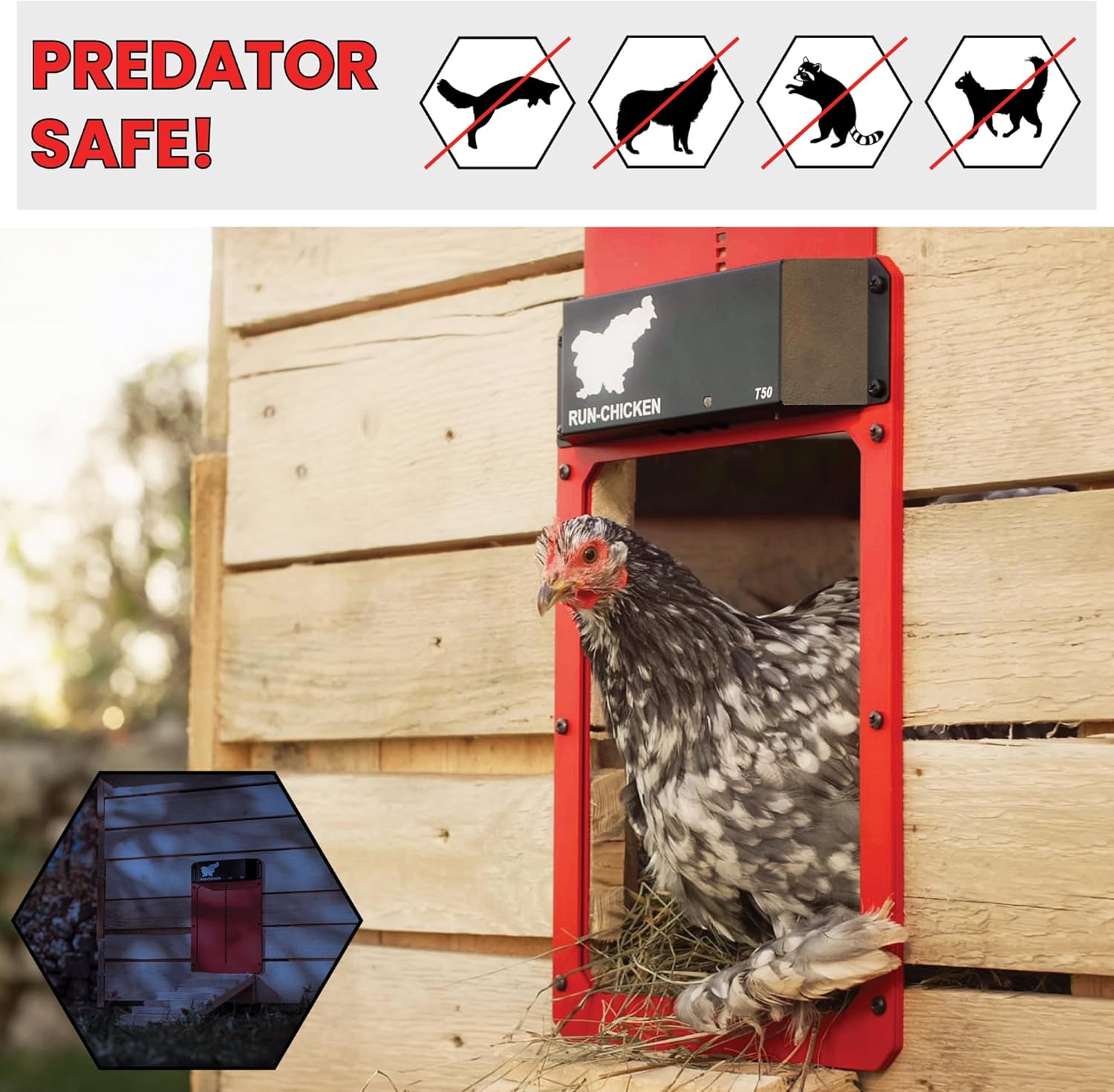 Chicken Door T50 Red k7p