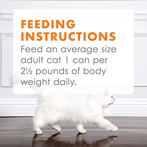 Wet Cat Food Variety Pack Poultry & Beef 45 Cans k7